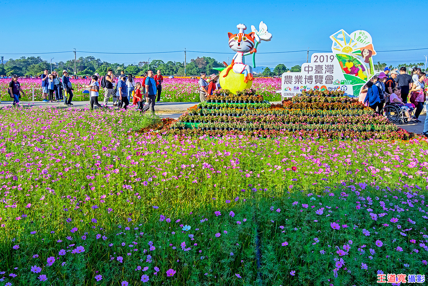 2019台中新社花海節