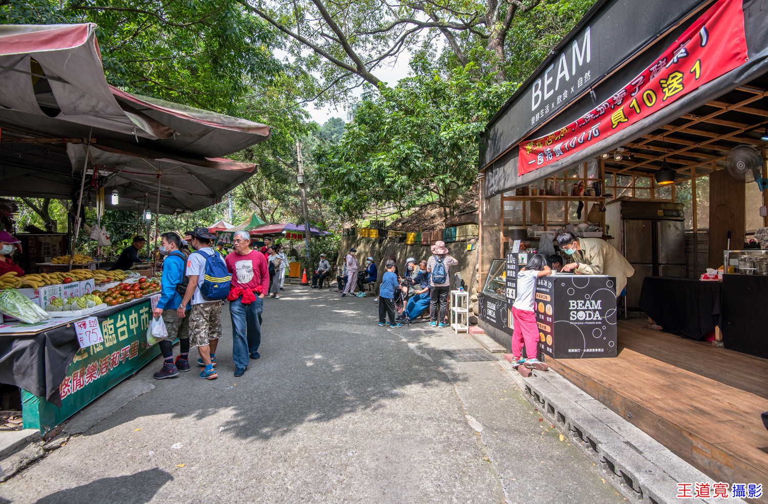 大坑9號步道 大坑9號步道