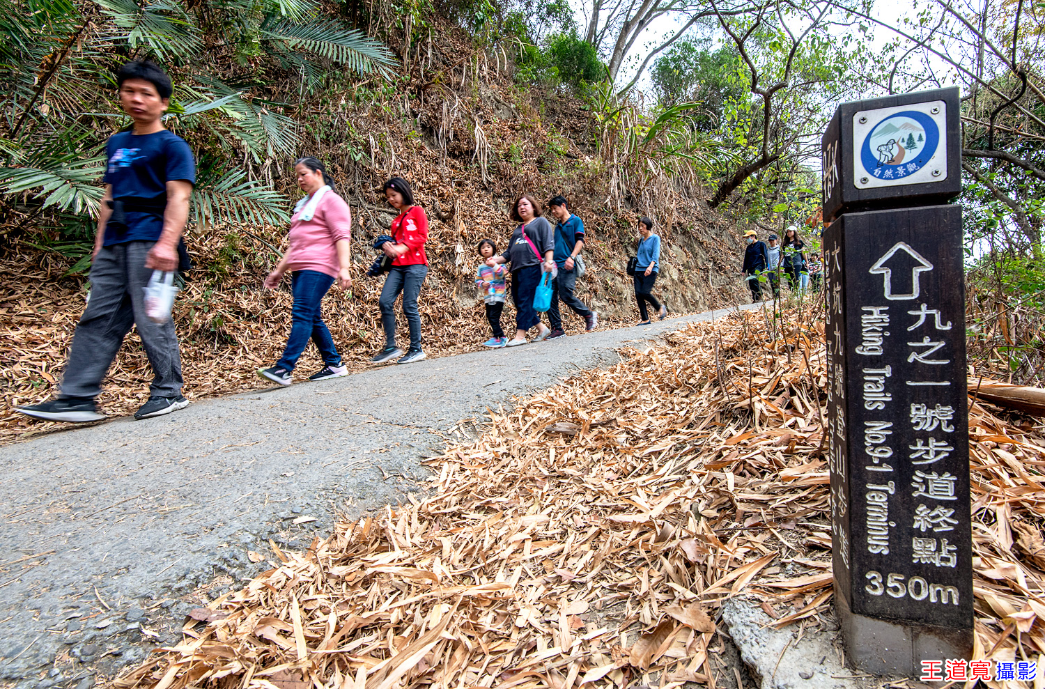大坑9號步道 大坑9號步道