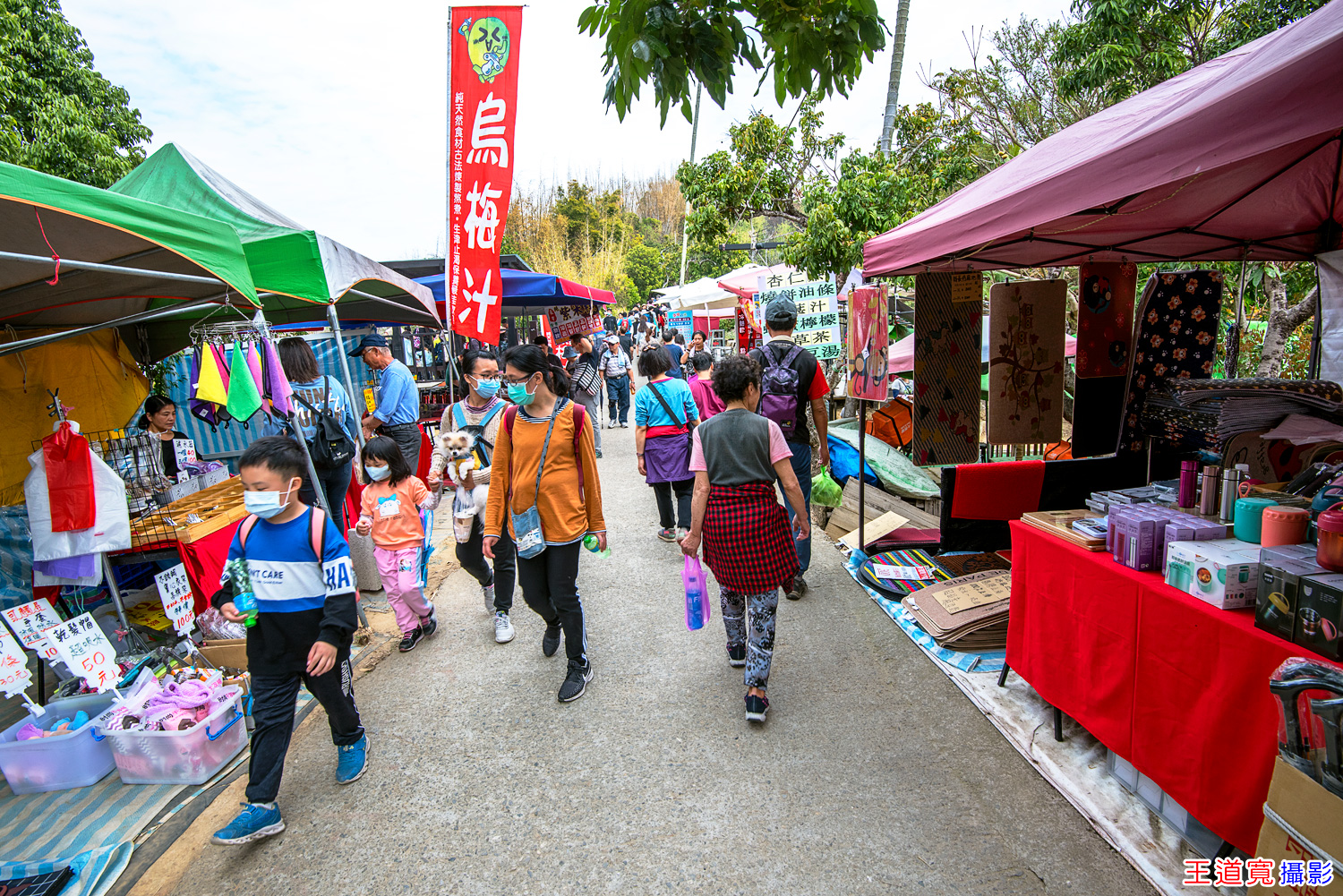 大坑9號步道 大坑9號步道