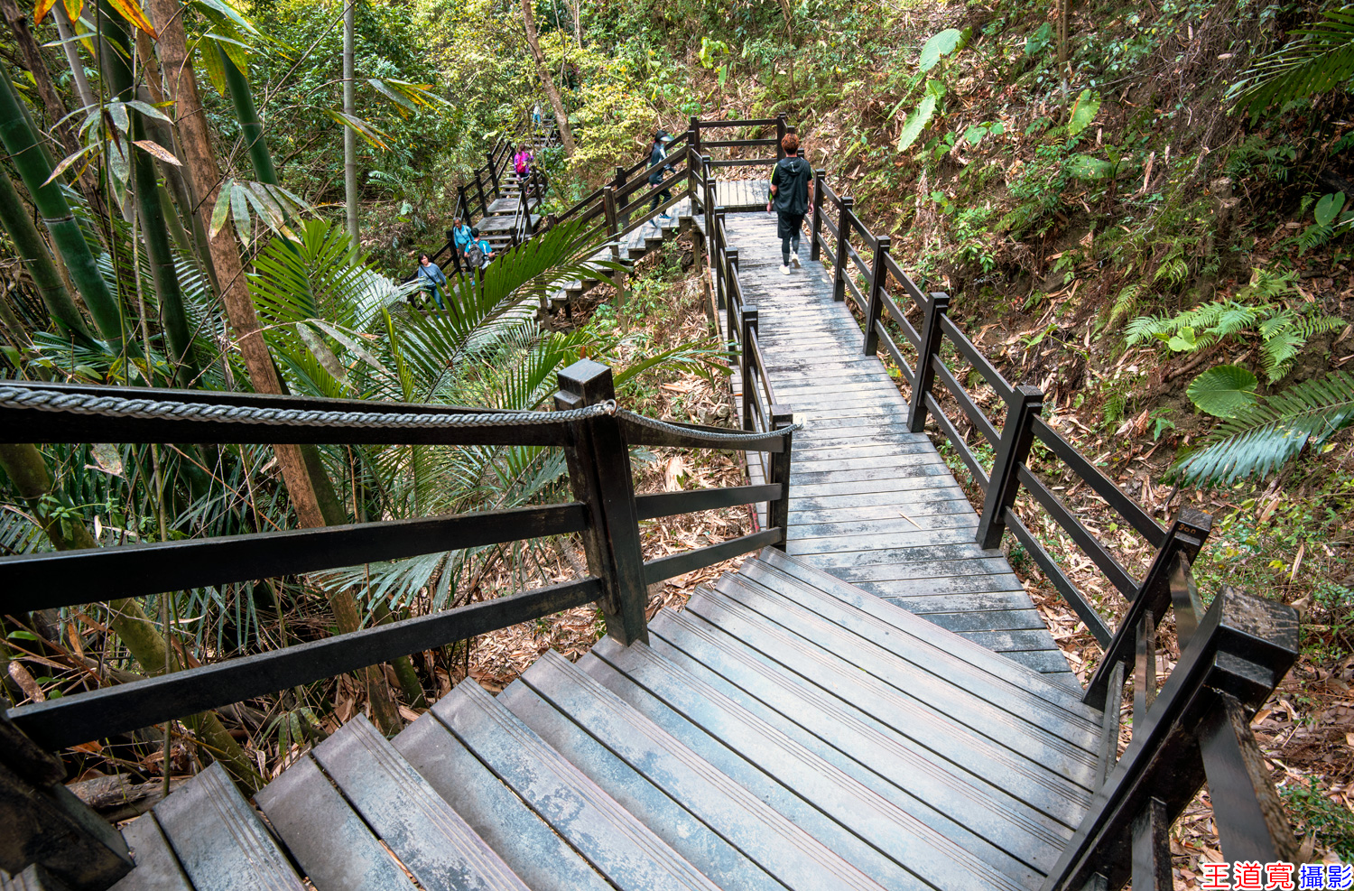 大坑10號步道 大坑10號步道