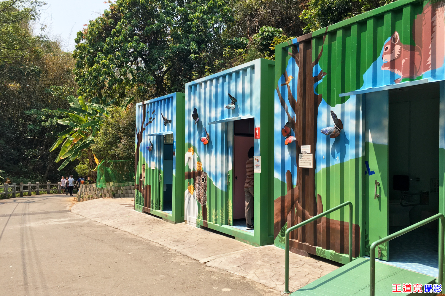 大坑9-1號步道 大坑9-1號步道