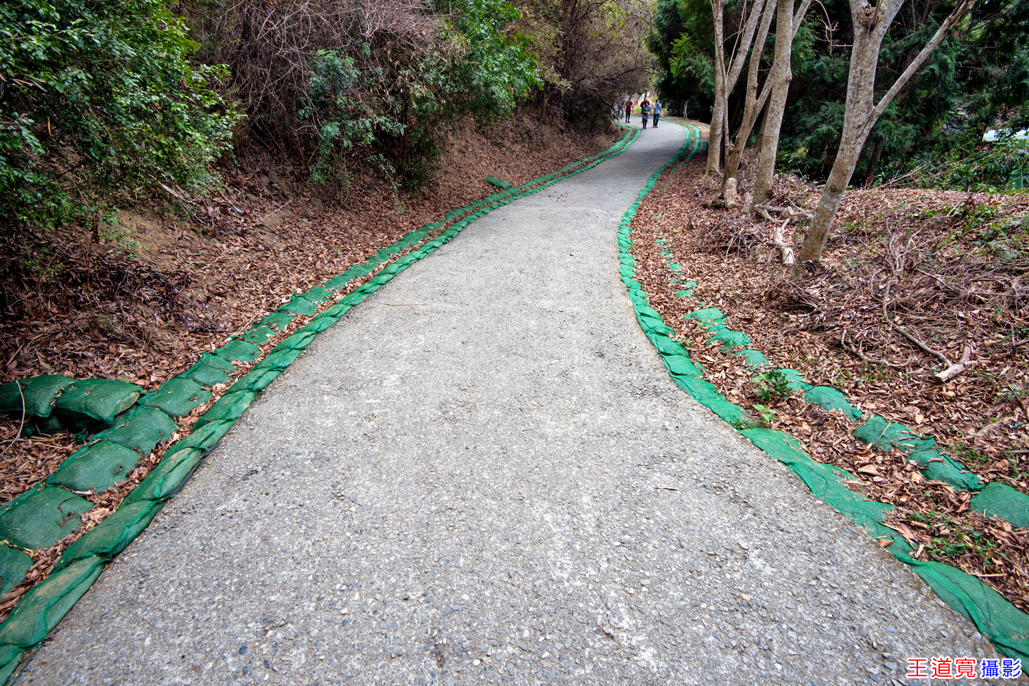 大坑10號步道 大坑10號步道