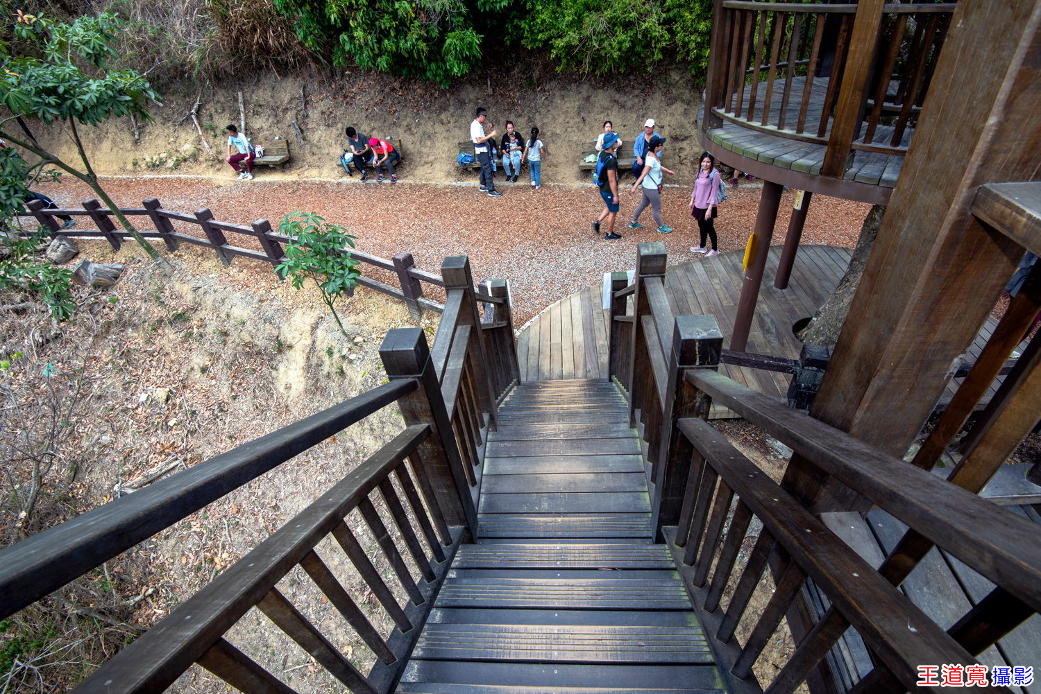 大坑10號步道 大坑10號步道