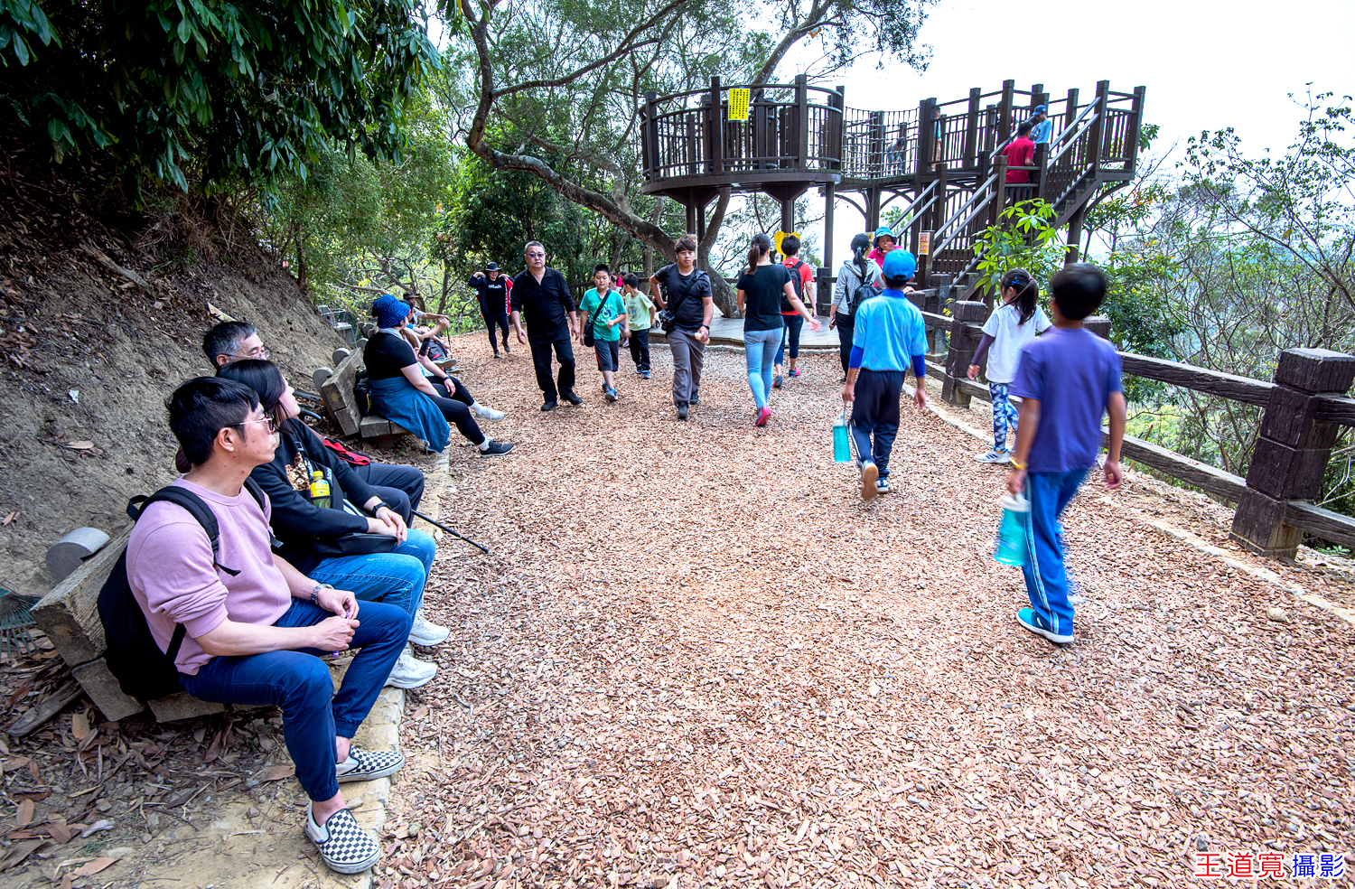 大坑10號步道 大坑10號步道