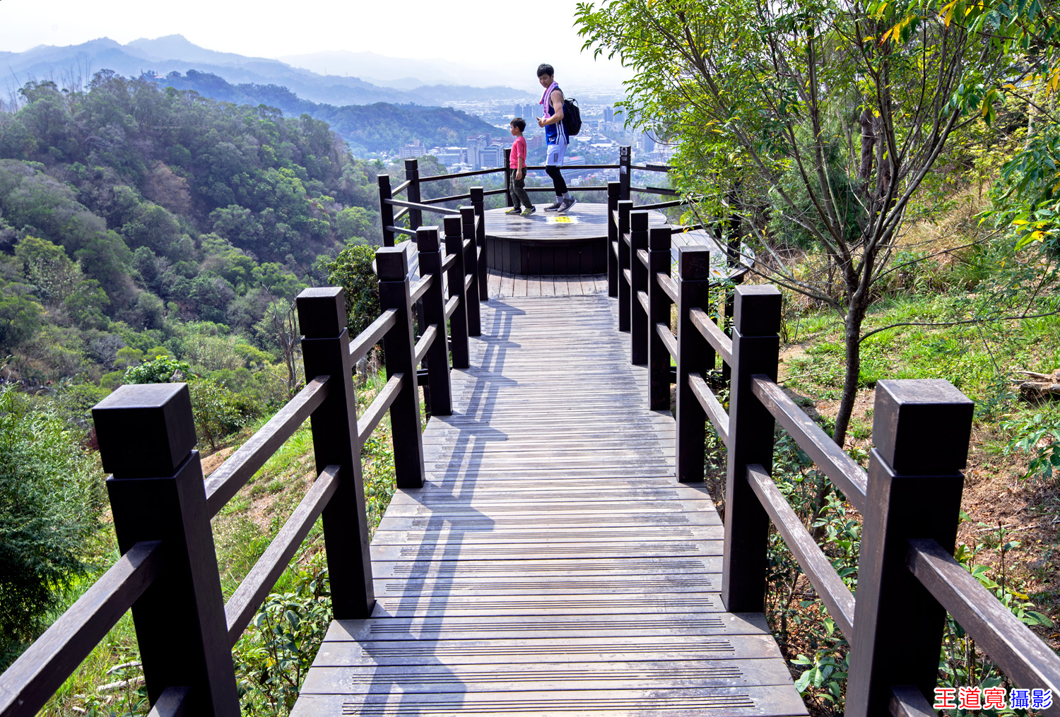 大坑9號步道 大坑9號步道