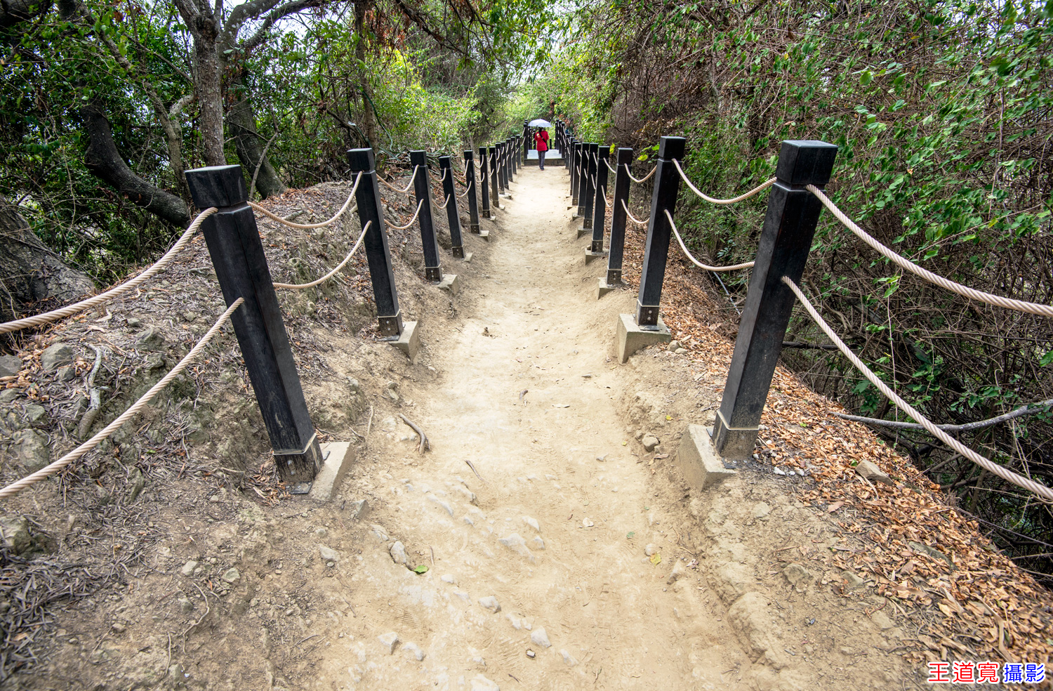 大坑10號步道 大坑10號步道