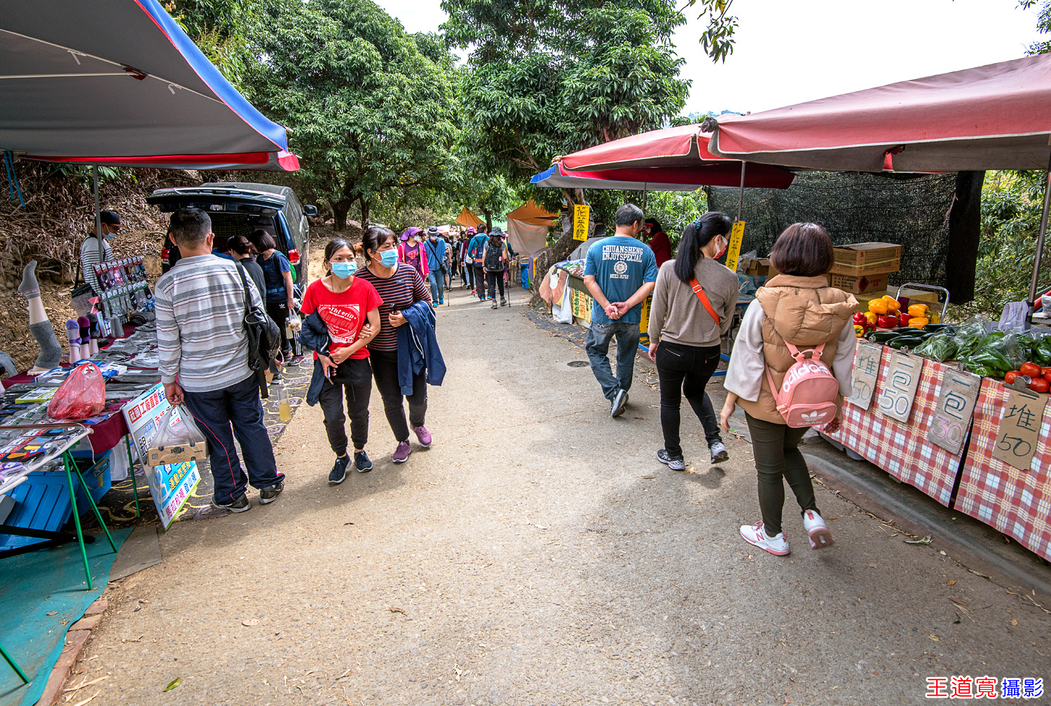 大坑9號步道 大坑9號步道