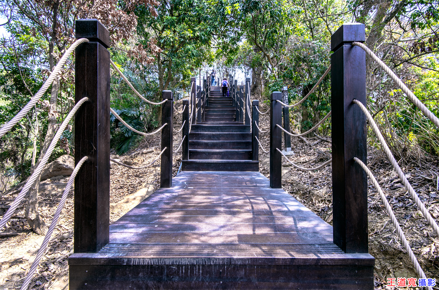 大坑9號步道 大坑9號步道