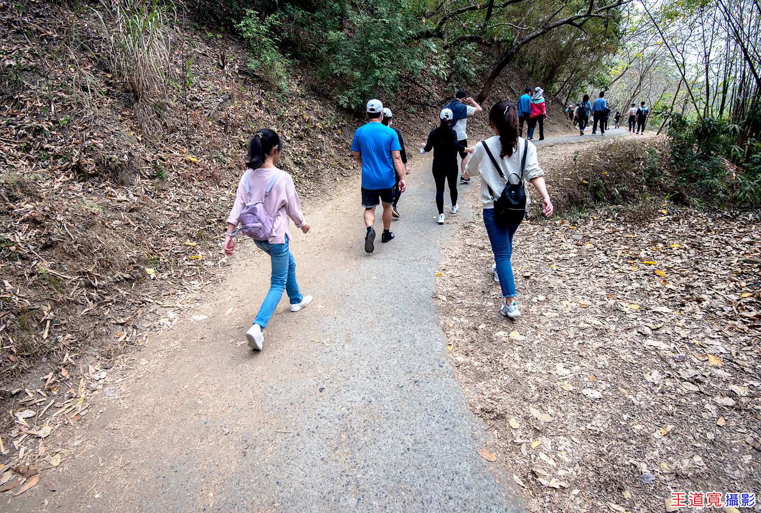 大坑9號步道 大坑9號步道