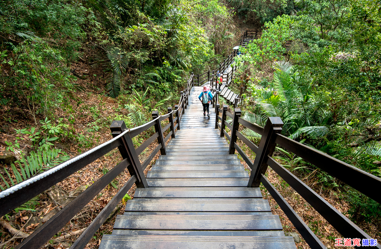 大坑10號步道 大坑10號步道