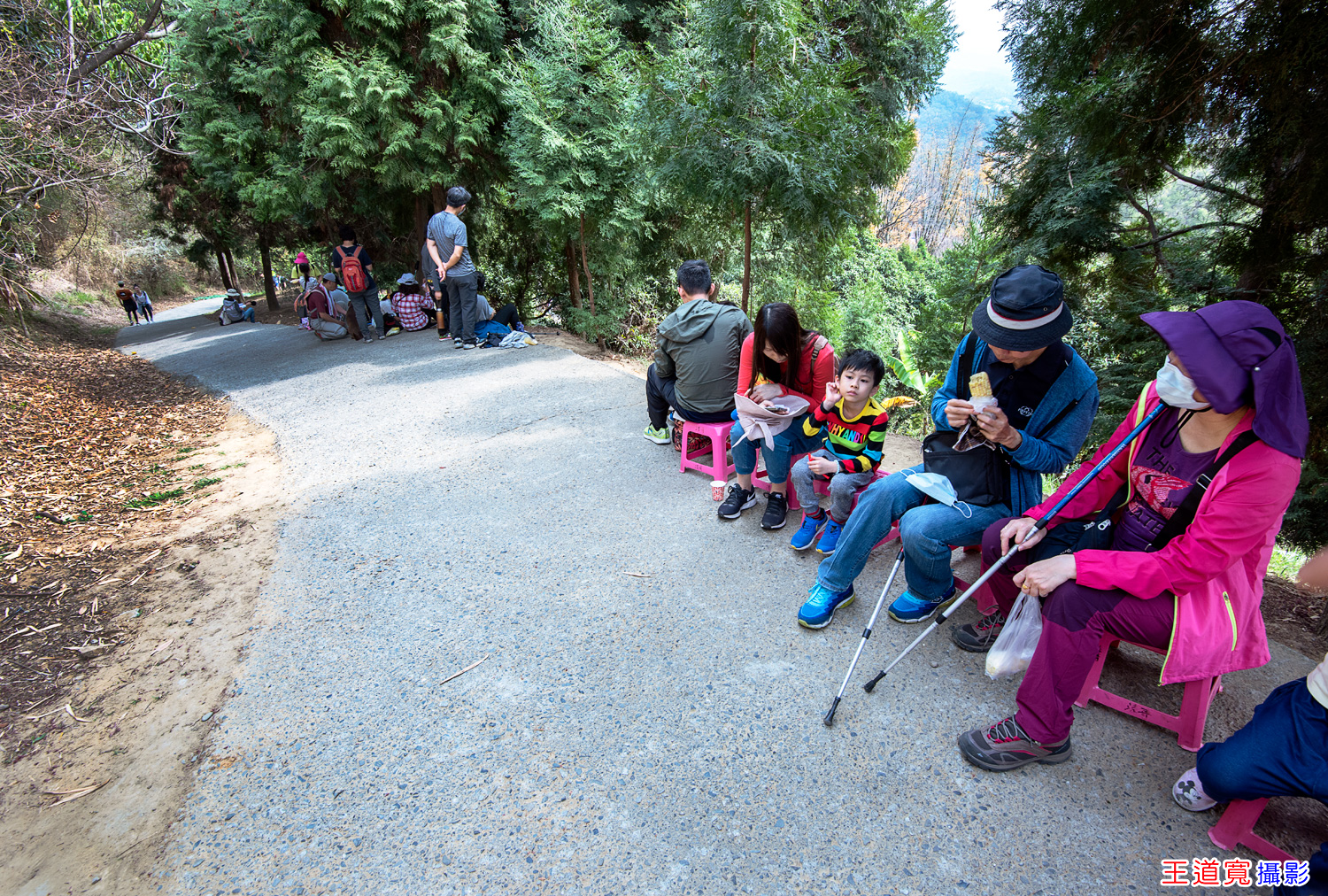 大坑10號步道 大坑10號步道