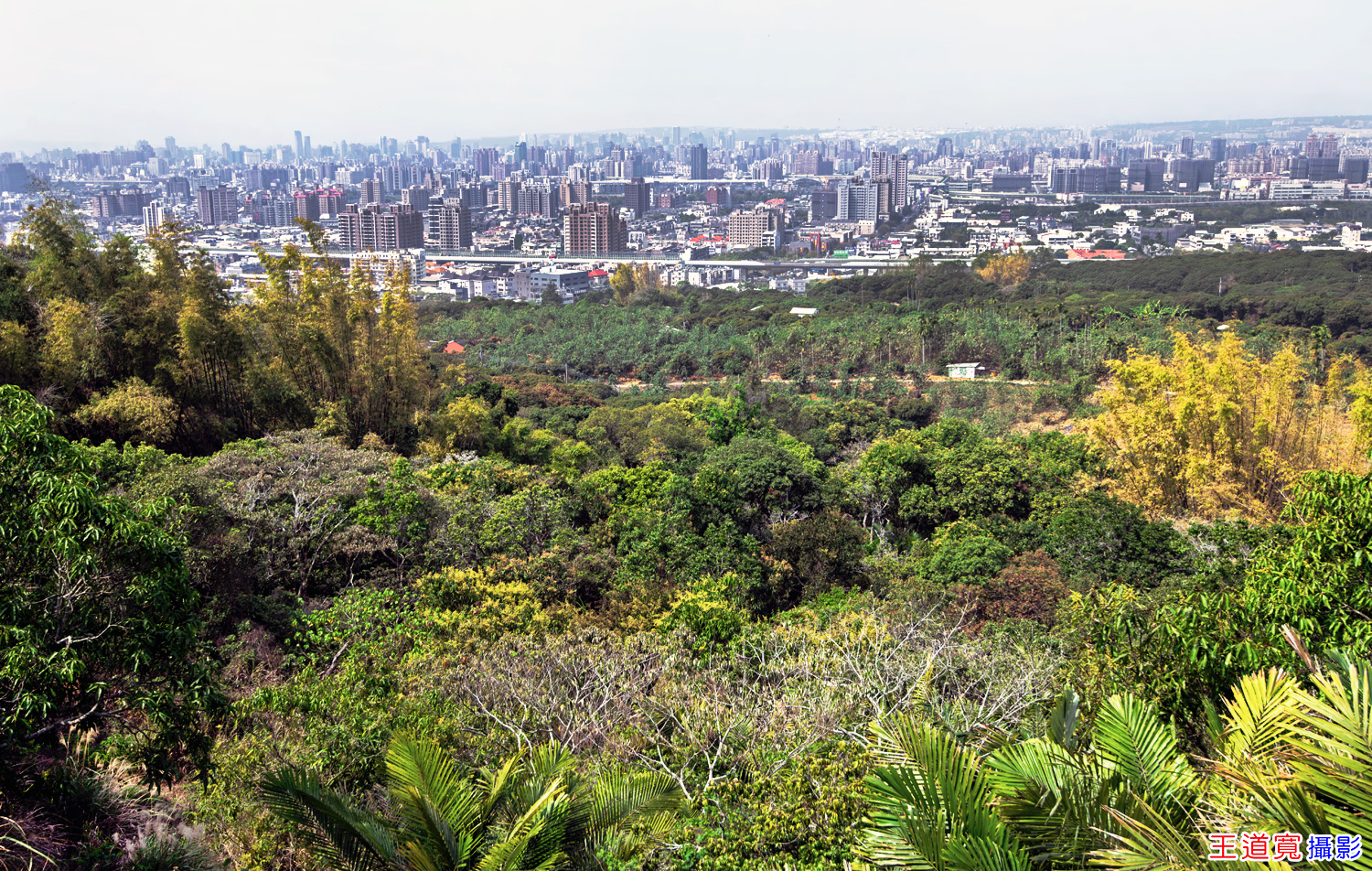 大坑9號步道 大坑9號步道