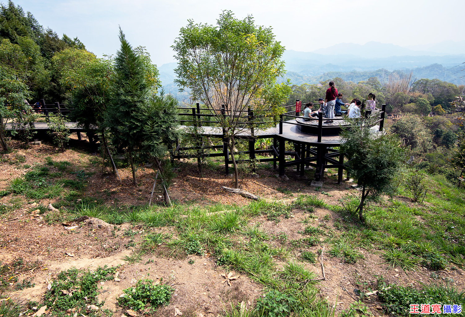 大坑9號步道 大坑9號步道