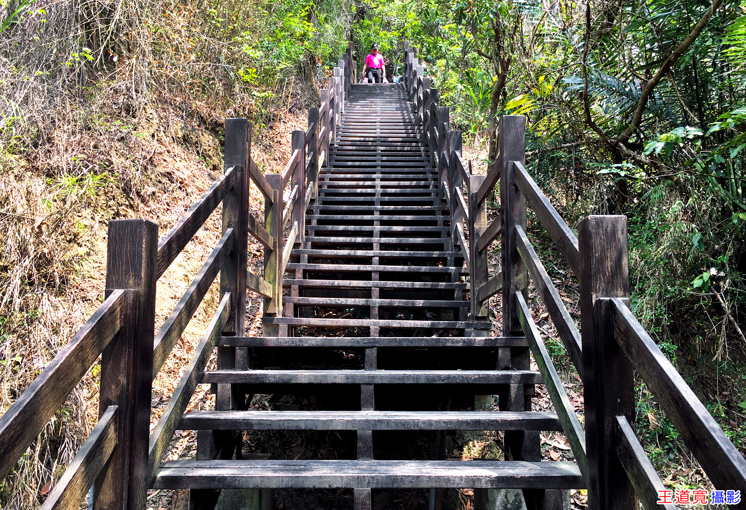 大坑9-1號步道 大坑9-1號步道