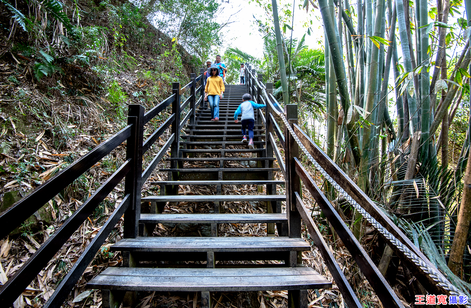 大坑10號步道 大坑10號步道