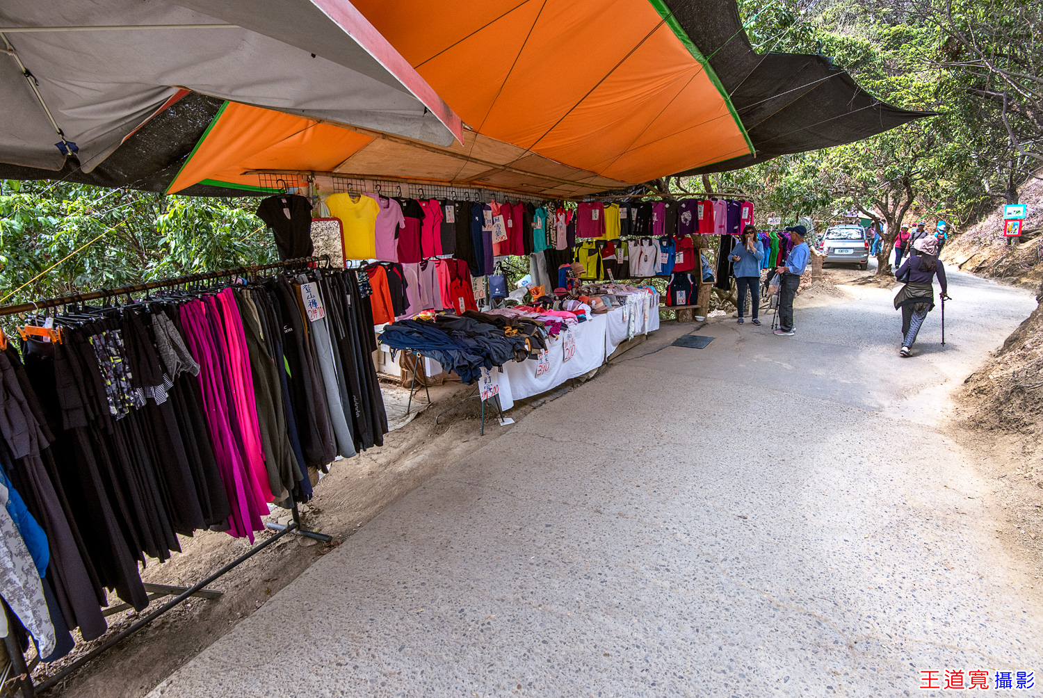 大坑9號步道 大坑9號步道