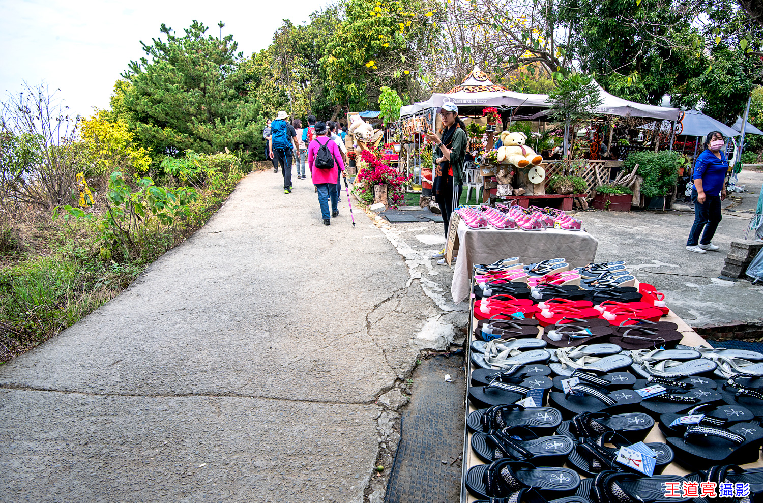 大坑9號步道 大坑9號步道
