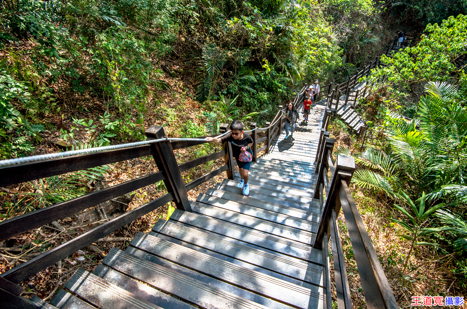 大坑10號步道 大坑10號步道