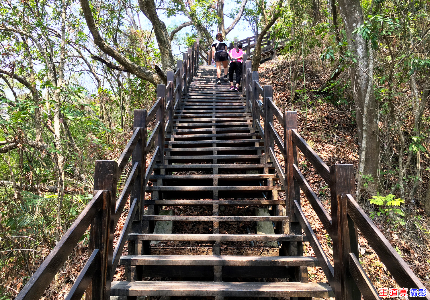 大坑9-1號步道 大坑9-1號步道