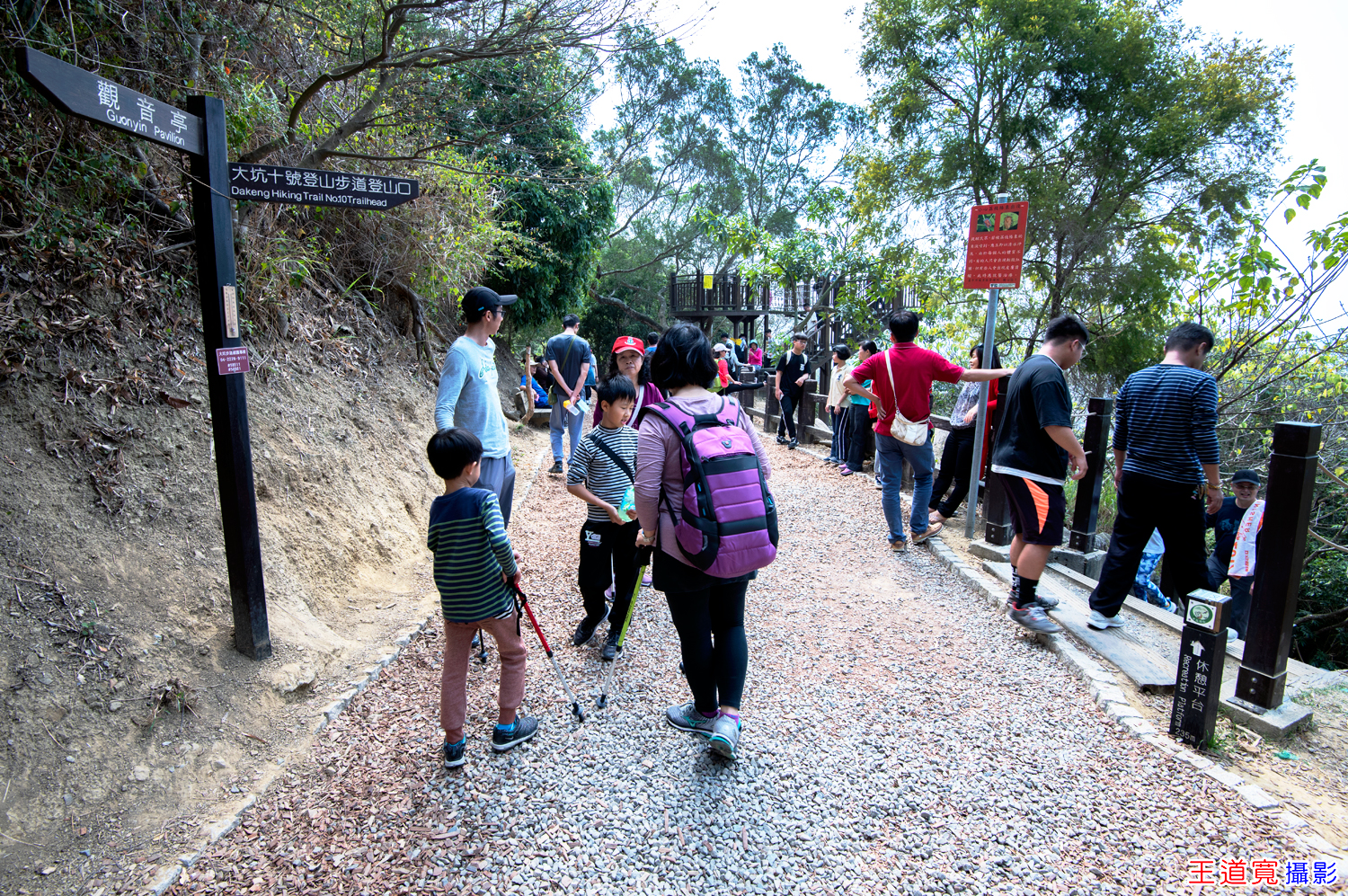 大坑10號步道 大坑10號步道