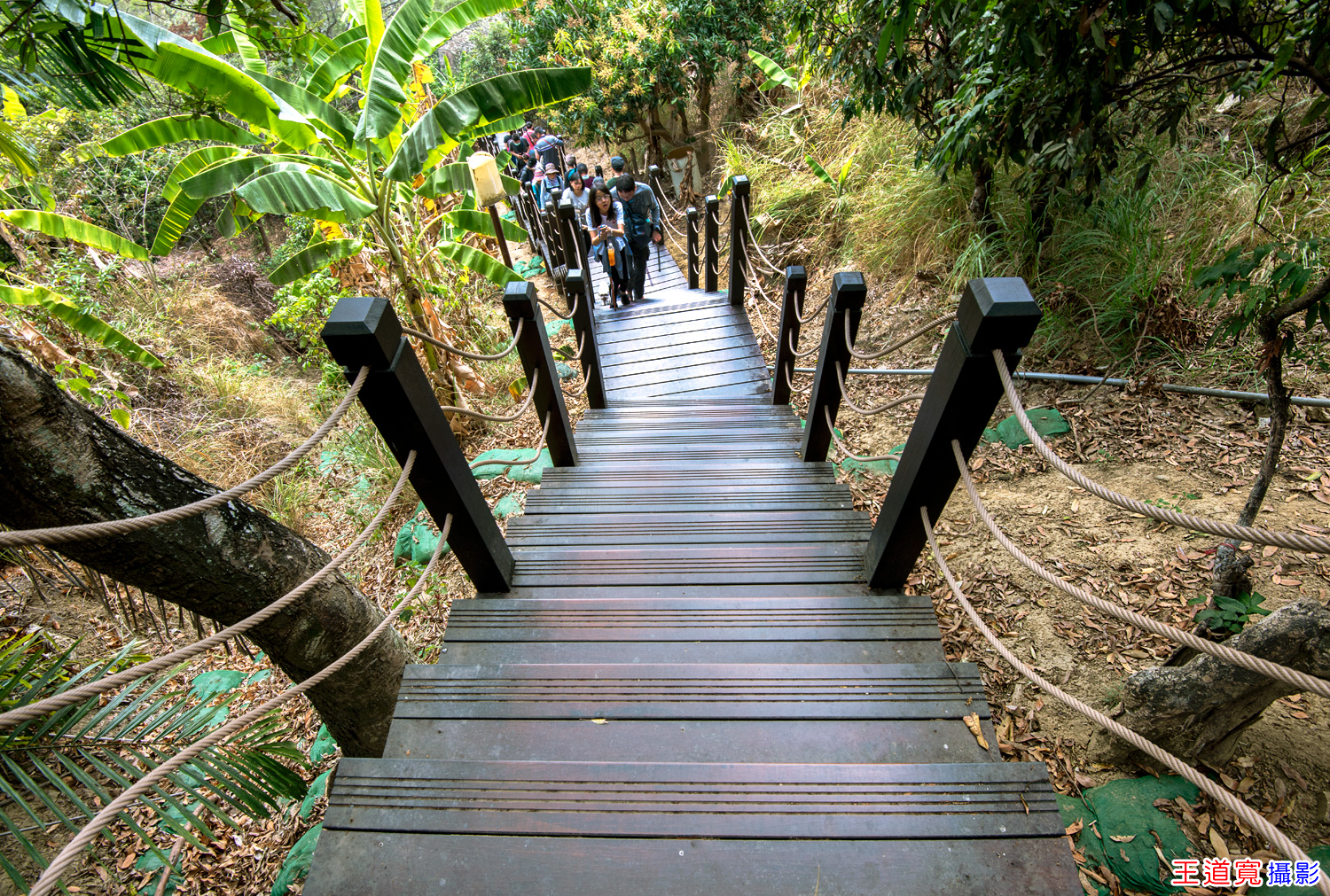 大坑9號步道 大坑9號步道