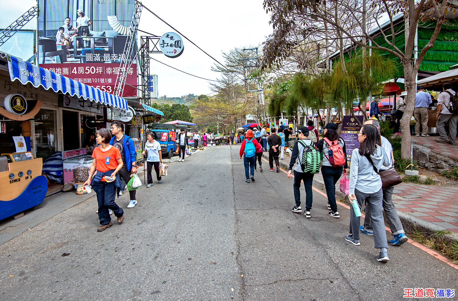 大坑9號步道 大坑9號步道