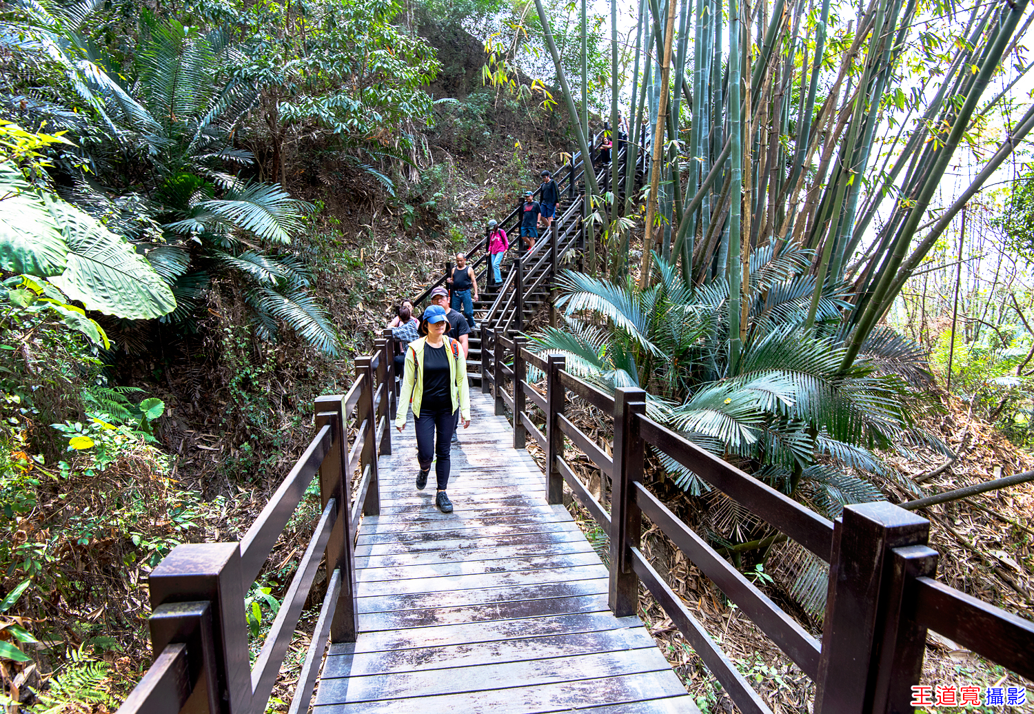 大坑10號步道 大坑10號步道