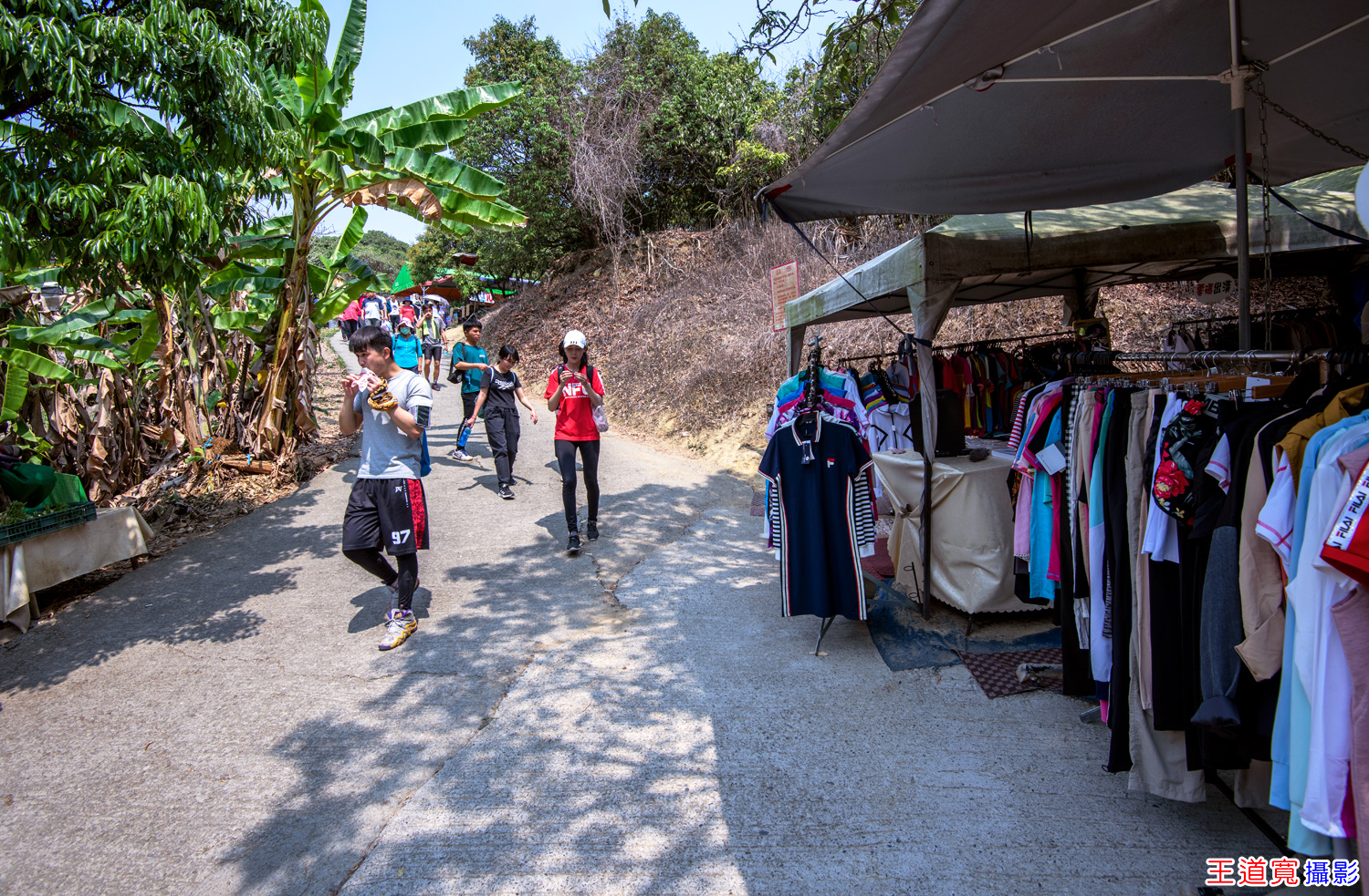 大坑9號步道 大坑9號步道