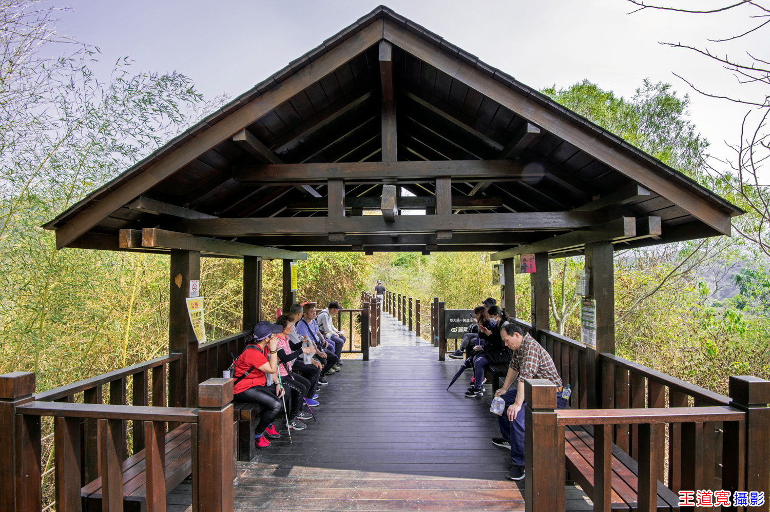 大坑10號步道 大坑10號步道