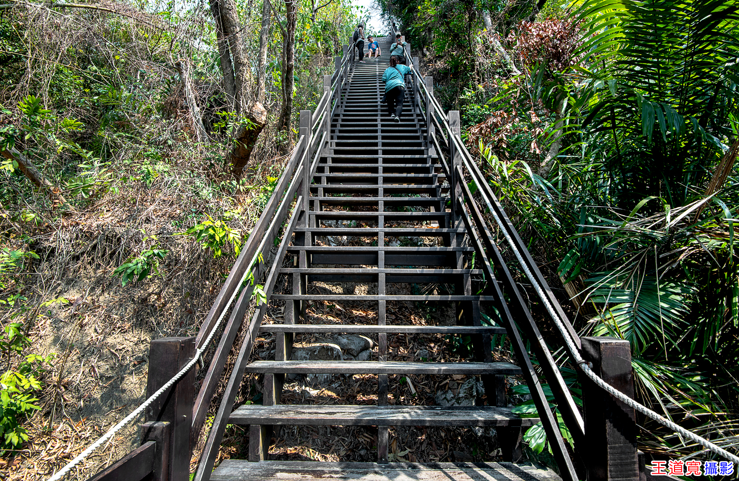大坑10號步道 大坑10號步道