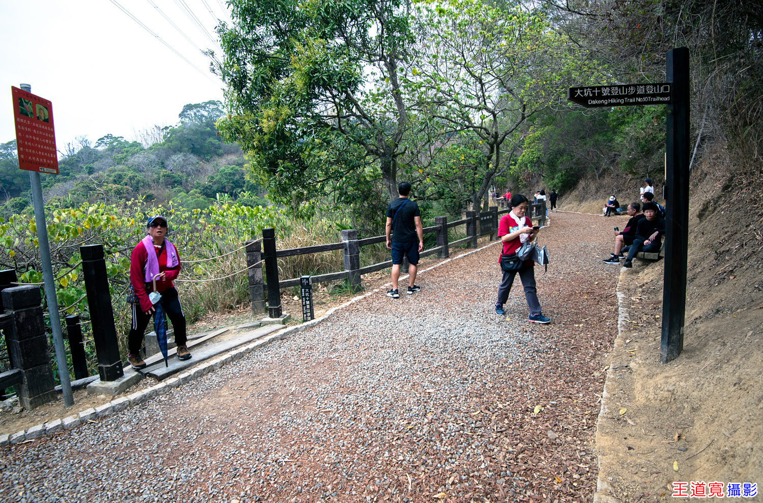 大坑10號步道 大坑10號步道