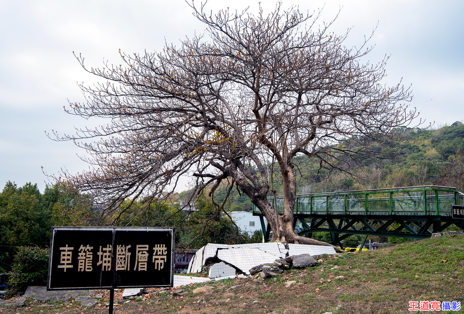 大坑921地震公園 大坑921地震公園